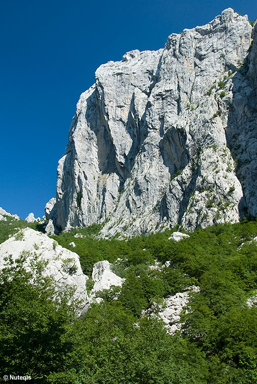 Chorwacja, Park Narodowy Paklenica - Anica Kuk