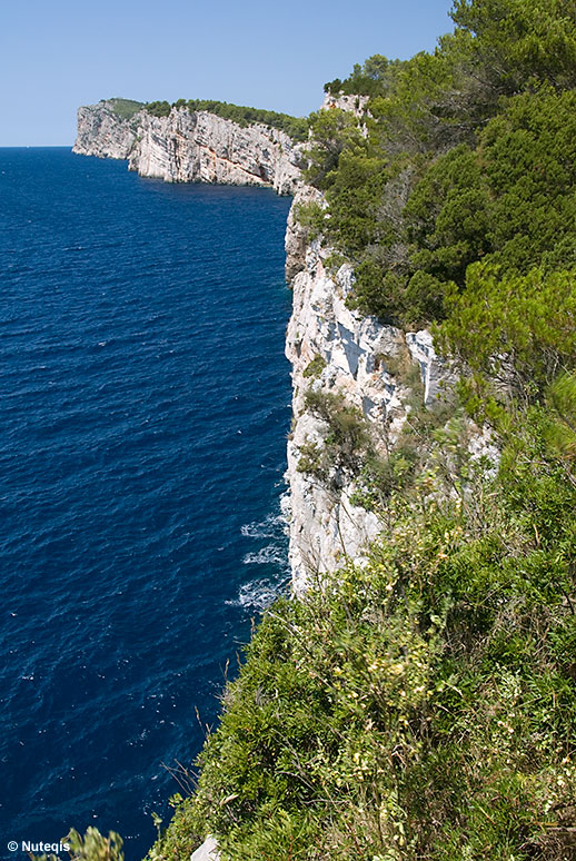 Chorwacja, klify wyspy Dugi Otok