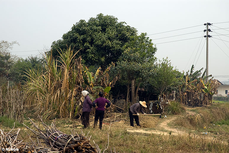 Chiny, Hakka - prace polowe