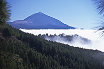 Teide ponad chmurami północnej części Teneryfy