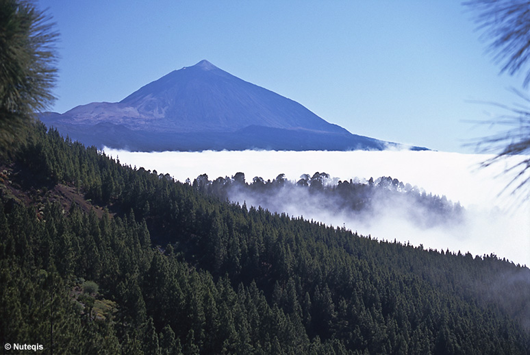 Teide ponad chmurami północnej części Teneryfy