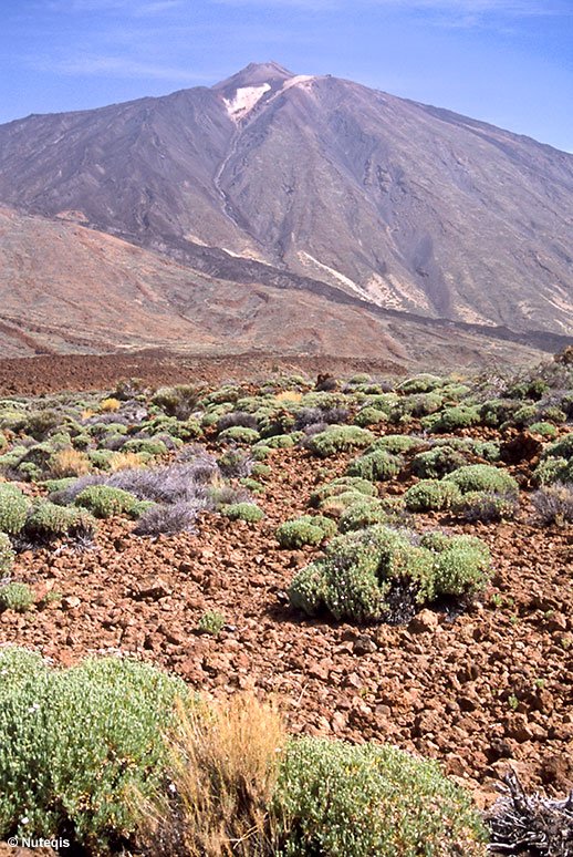 Teneryfa, Park Narodowy Teide