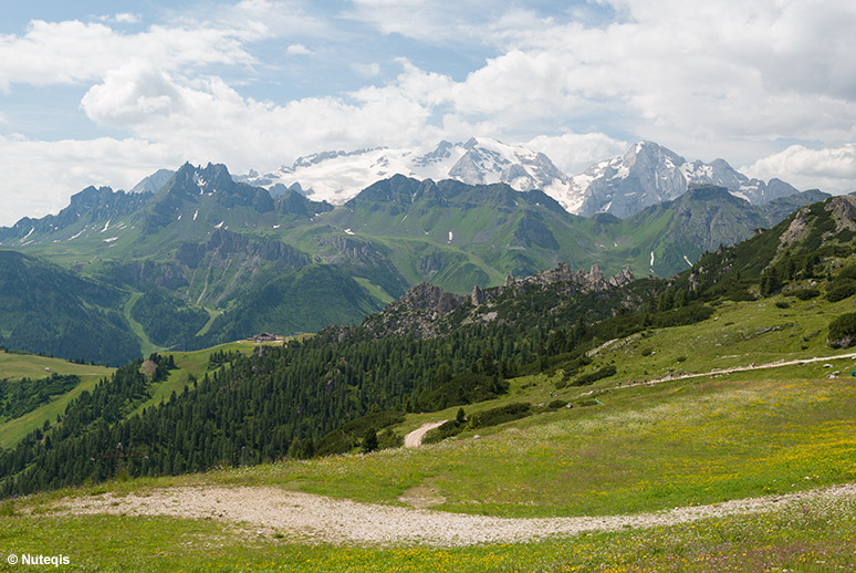 Dolomity latem, zaśnieżona Marmolada ponad zielenią łąk