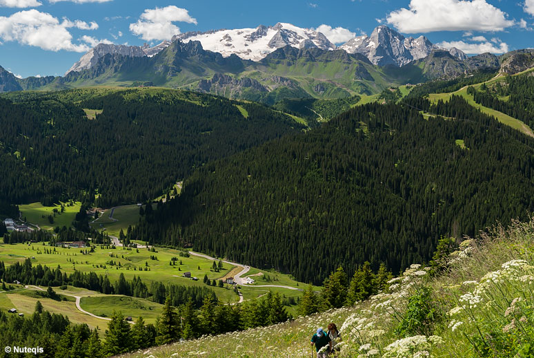 Widok z Alta Badia na Marmoladę latem