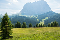 Dolomity, ściana Sassolungo widziana latem z Passo Gardena