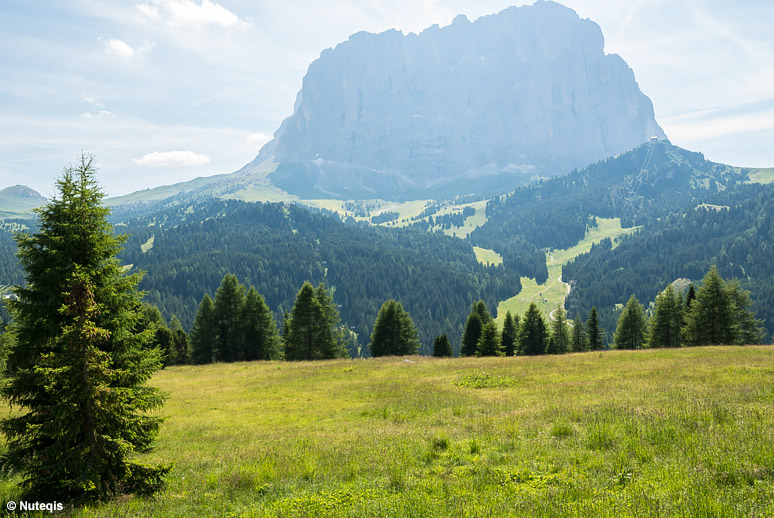 Dolomity, ściana Sassolungo widziana latem z Passo Gardena