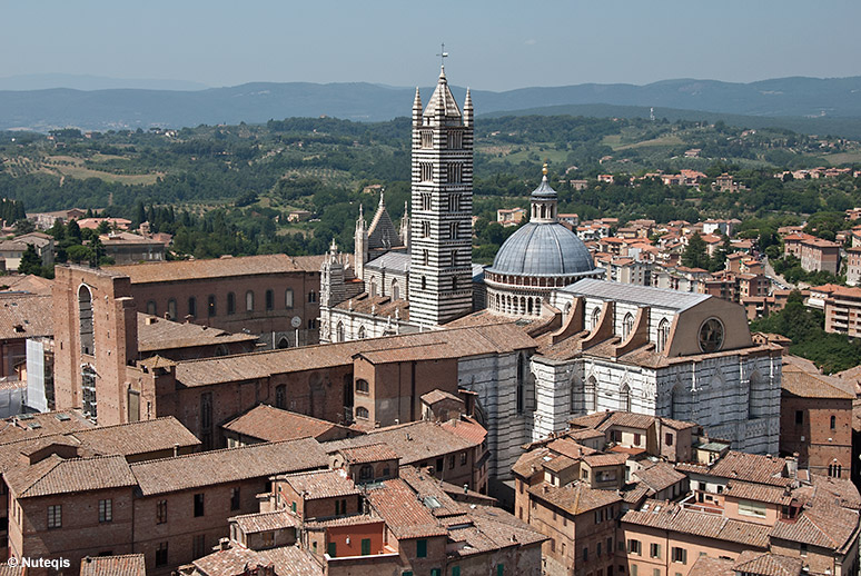 Toskania, Siena - katedra widziana z Torre del Mangia