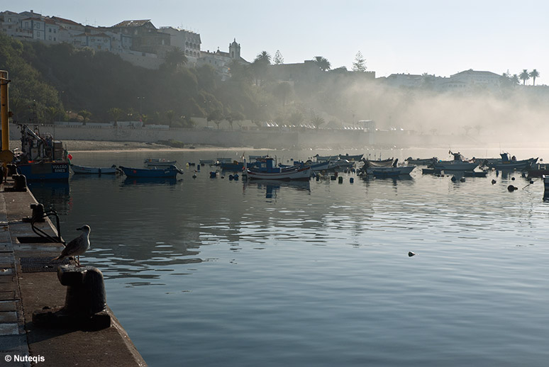 Alentejo, poranek w porcie w Sines