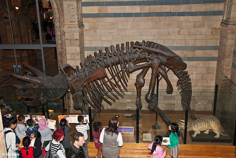 Londyn, szkielet dinozaura w Muzeum Historii Naturalnej