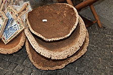 Evora, płaty kory dębu korkowego Evora, płaty kory dębu korkowego