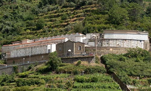 Riomaggiore fragment